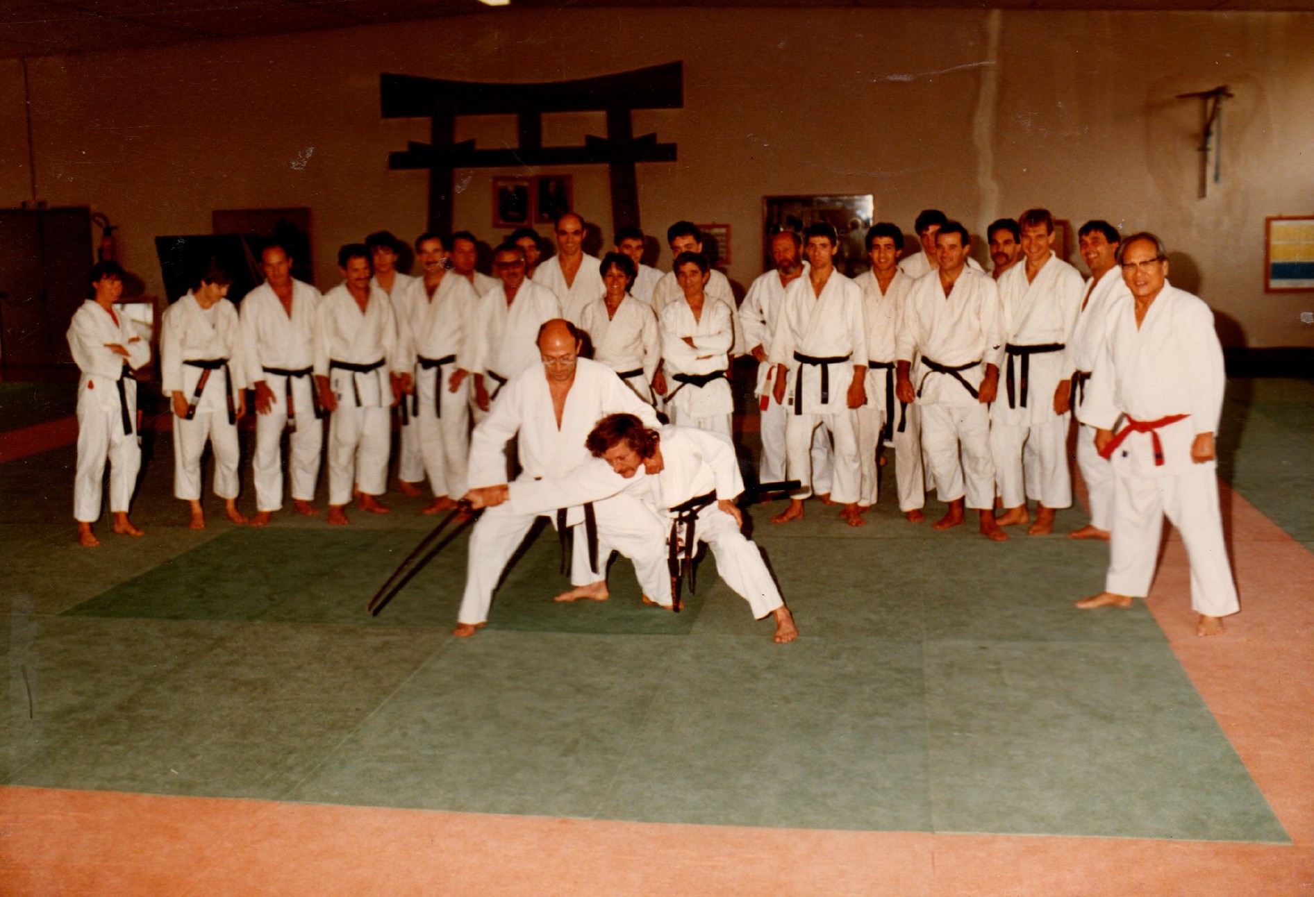 Judo 2